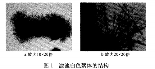 QQ截圖20141120095709.jpg